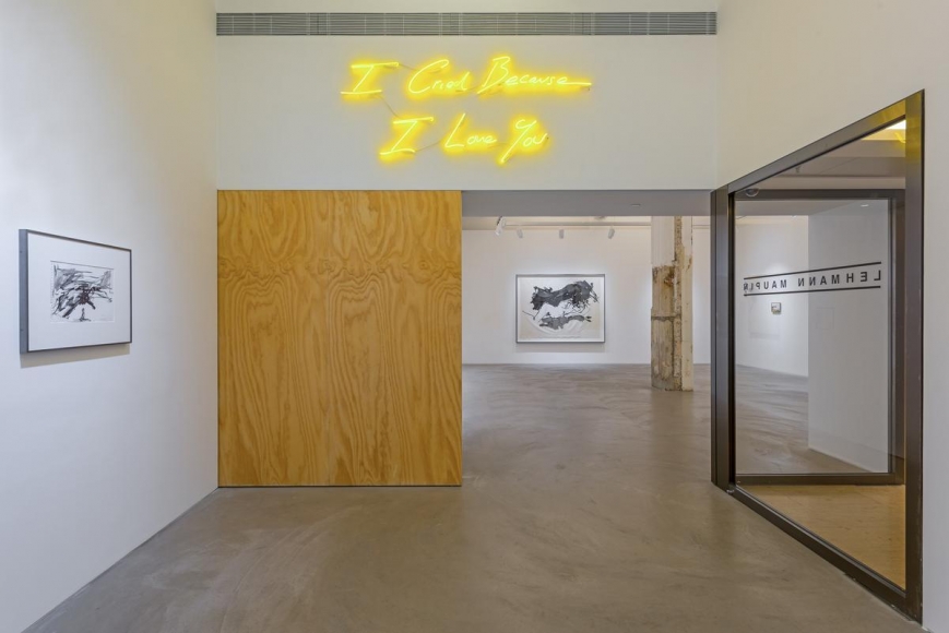 Tracey Emin, I Cried Because I Love You