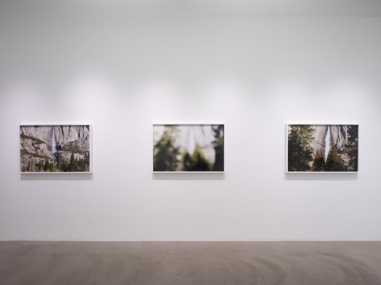 CATHERINE OPIE So long as they are wild
installation view 10
