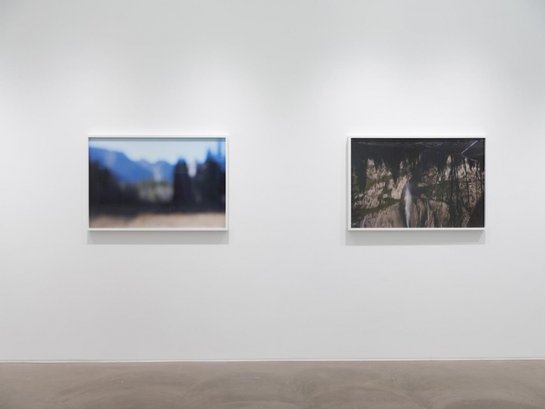 CATHERINE OPIE So long as they are wild
installation view 11