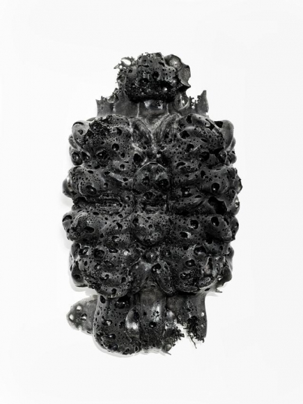 Pazuzu, 2014