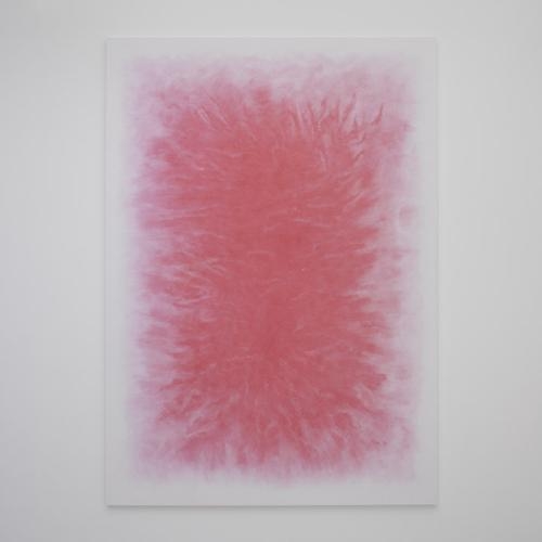 SHIRAZEH HOUSHIARY Fading shadow, 2009