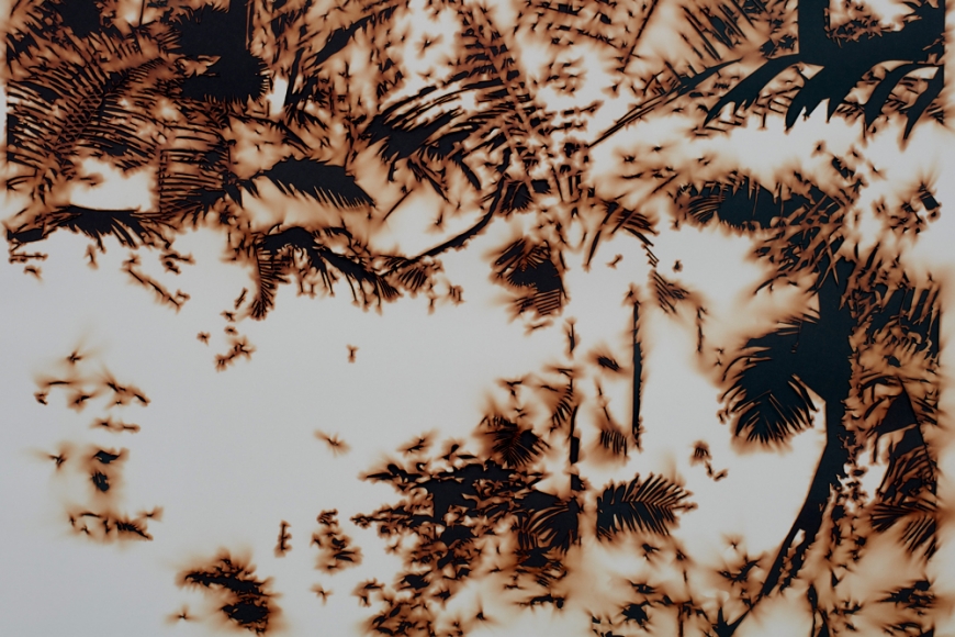 TERESITA FERNÁNDEZ , Puerto Rico (Burned) 6 (detail), 2018