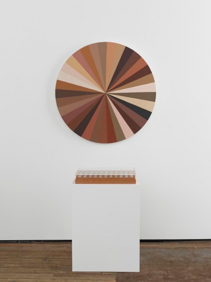 ADRIANA VAREJÃO Polvo Color Wheel VII, 2015
