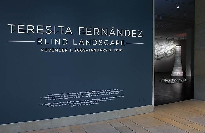 Teresita Fernández Installation at the Blanton Museum of Art, 2009