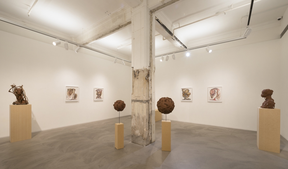 WANGECHI MUTU Installation view 
