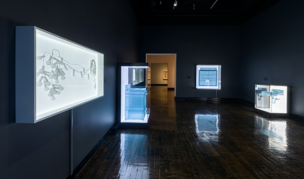 DO HO SUH, Installation view, Frist Art Museum, Do Ho Suh: Specimens, Oct. 12, 2018 - Jan. 6, 2019