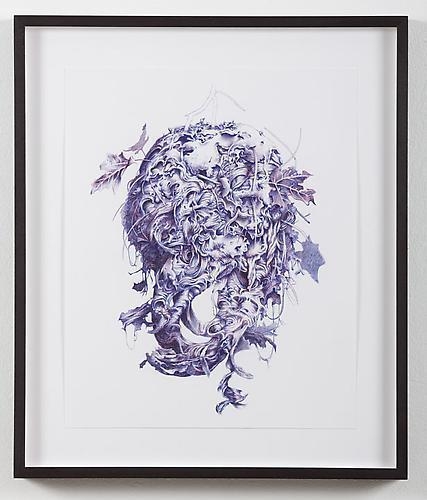 PAUL MCDEVITT Müllerian Mimic, 2010