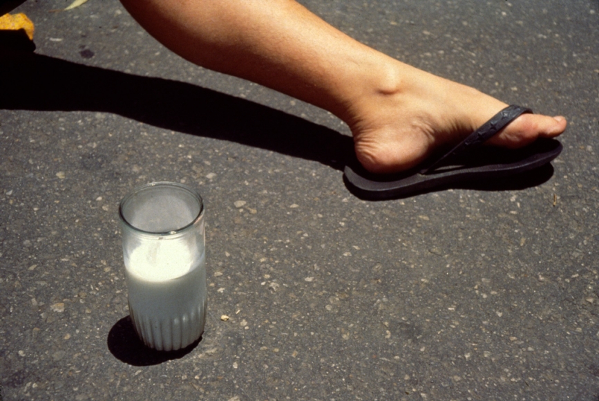 CECILIA VICUÑA Vaso de Leche, 1979