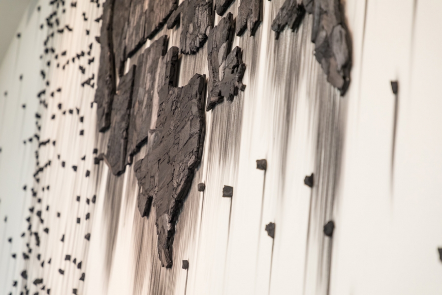 TERESITA FERNÁNDEZ, Fire (United States of the Americas) 2, 2018