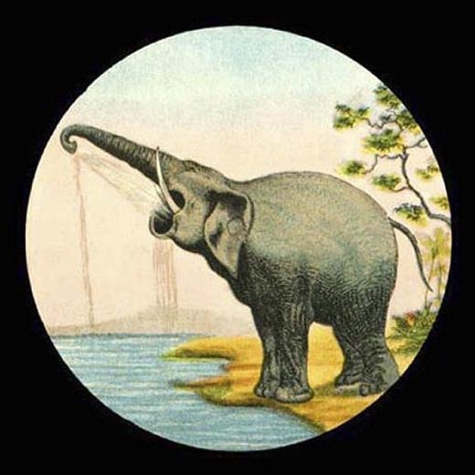 Minerva Cuevas, La venganza del elefante, 2007