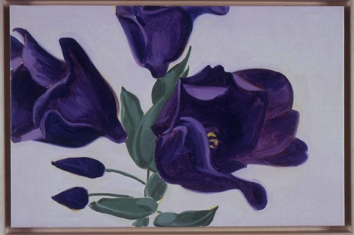 Lisianthus Purple, 2002