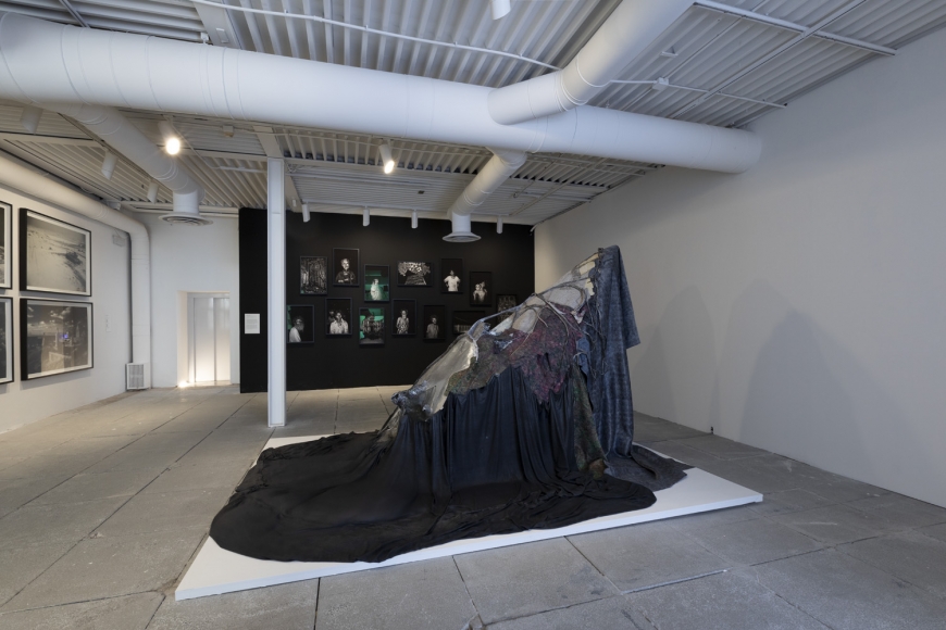 LEE BUL, Scale of Tongue, 2017–2018