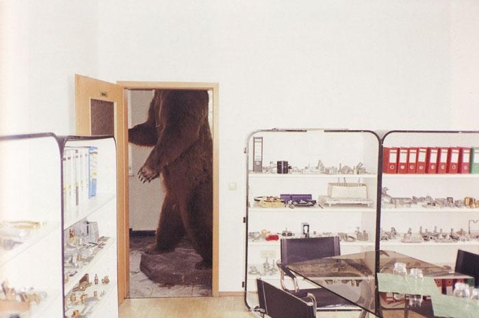 Brown Bear, Bubenreuth, Germany, 2002