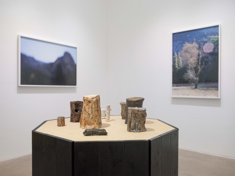 CATHERINE OPIE So long as they are wild
installation view 5