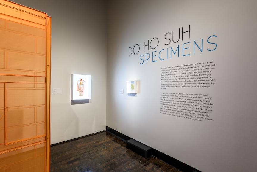 DO HO SUH, Installation view, Frist Art Museum, Do Ho Suh: Specimens, Oct. 12, 2018 - Jan. 6, 2019