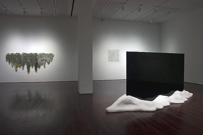 Teresita Fernández Installation at the Blanton Museum of Art, 2009