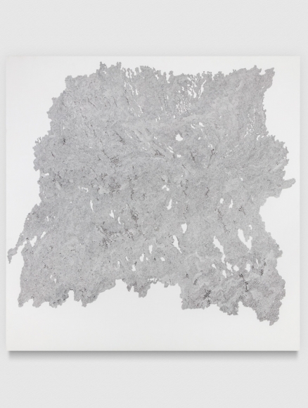 LIZA LOU, Drawing Instrument II, 2016–2018