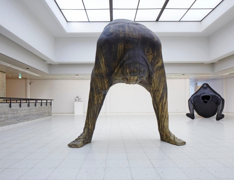 Erwin Wurm: Disruption