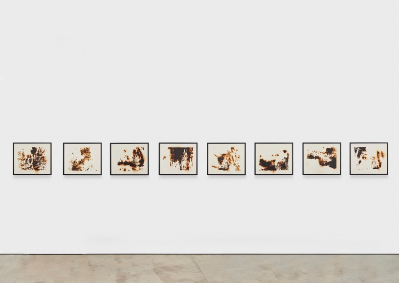 TERESITA FERNÁNDEZ Burned Landscape (America) 3, 2017