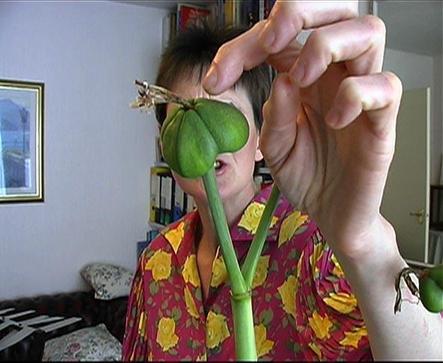 The 4 Seasons of Veronica Read, 2002
