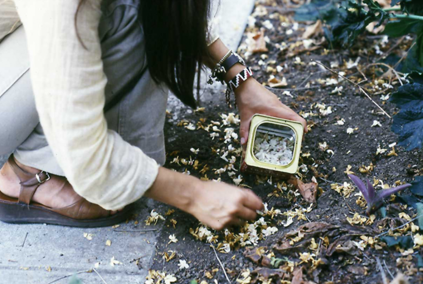 塞西莉亞·維納 Otoño / Autumn, 1971