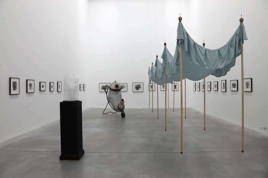 Patrick Van Caeckenbergh: La ruine fructueuse