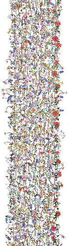 JENNIFER STEINKAMP Daisy Bell, 2008