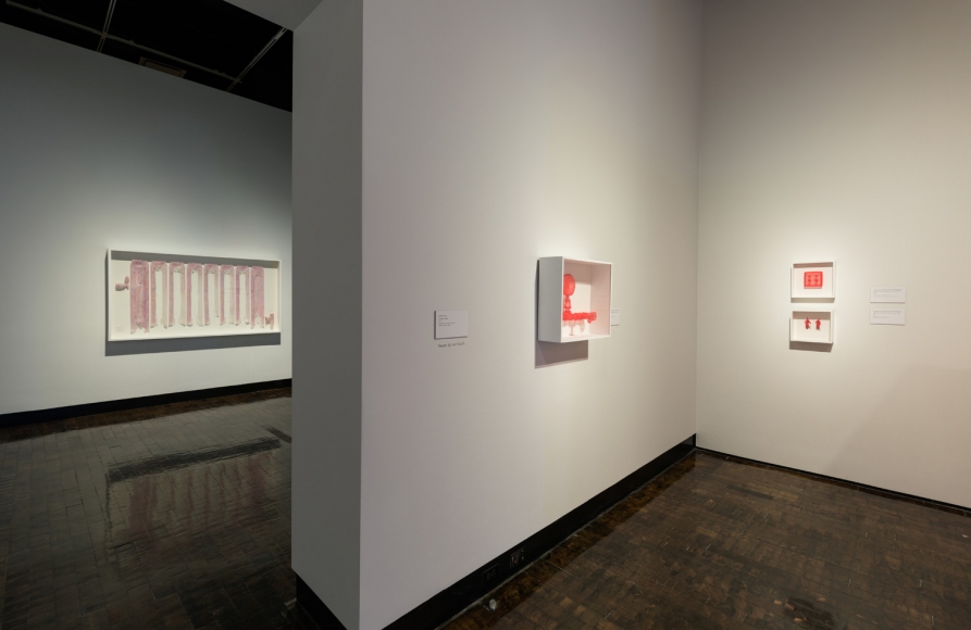 DO HO SUH, Installation view, Frist Art Museum, Do Ho Suh: Specimens, Oct. 12, 2018 - Jan. 6, 2019