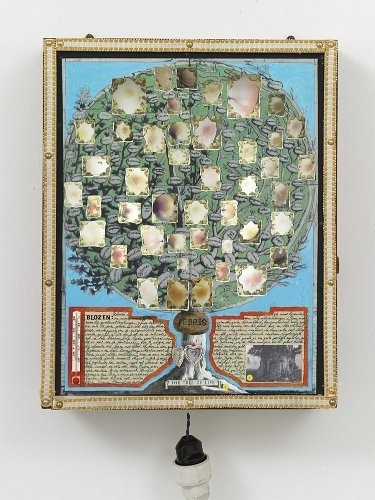 æ´¾å´å
â§èâ§å±è¯æ The Tree of Life: The Encyclopedia of Blushings, 2003-2010