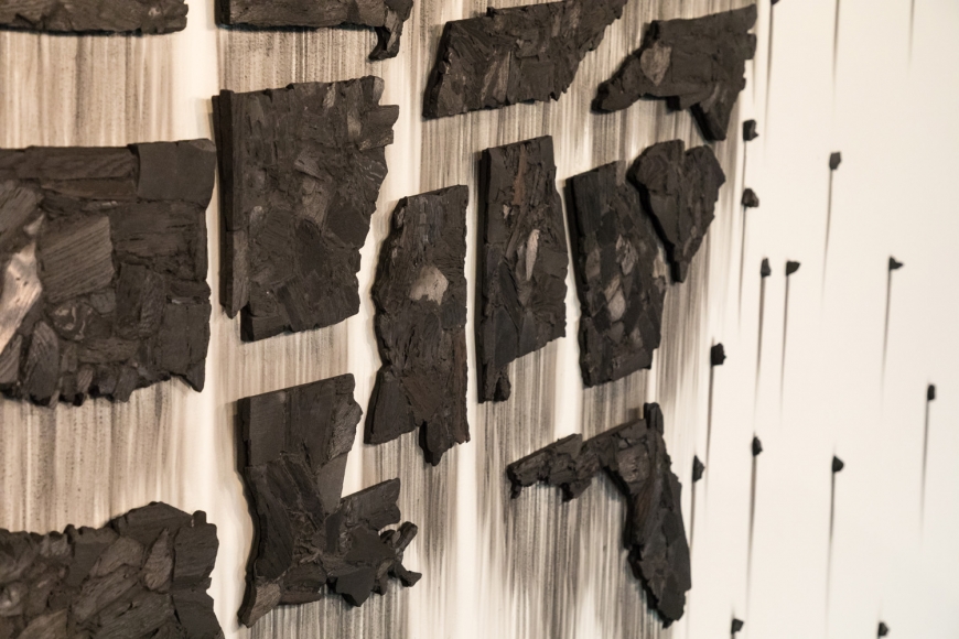 TERESITA FERNÁNDEZ, Fire (United States of the Americas) 2, 2018