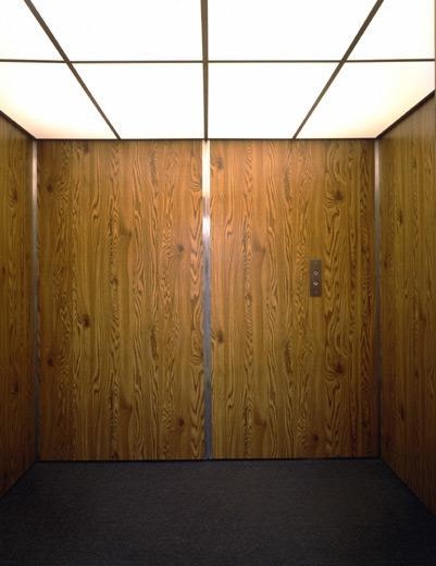 RICHARD ARTSCHWAGER Janus III (detail), 1983