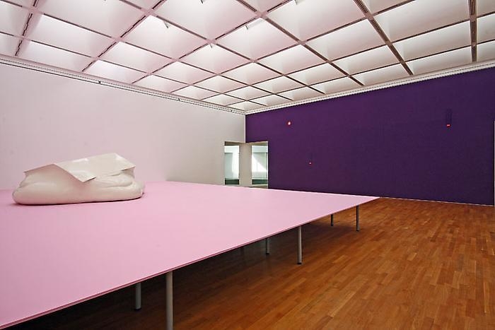 Erwin Wurm: Liquid Reality, Installation view Kunstmuseum Bonn, 2010