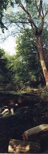 the way things are -- green with red, 2000