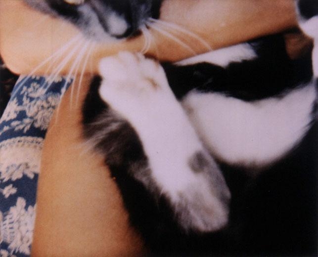 Me + Docket Furry Baby #10, 2002