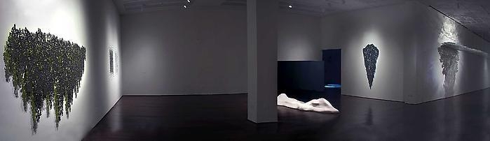 Teresita Fernández Installation at the Blanton Museum of Art, 2009