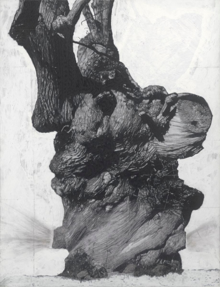 æ´¾å´å
â§èâ§å±è¯æ Drawing of Old Trees during wintry days 2007-2014, 2007-2014