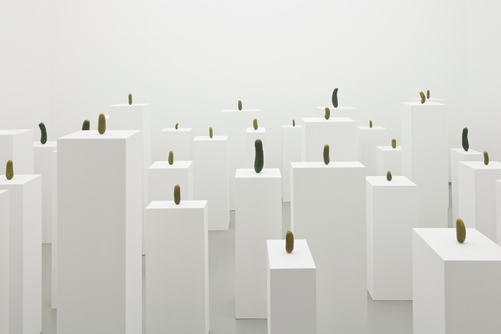 ERWIN WURM