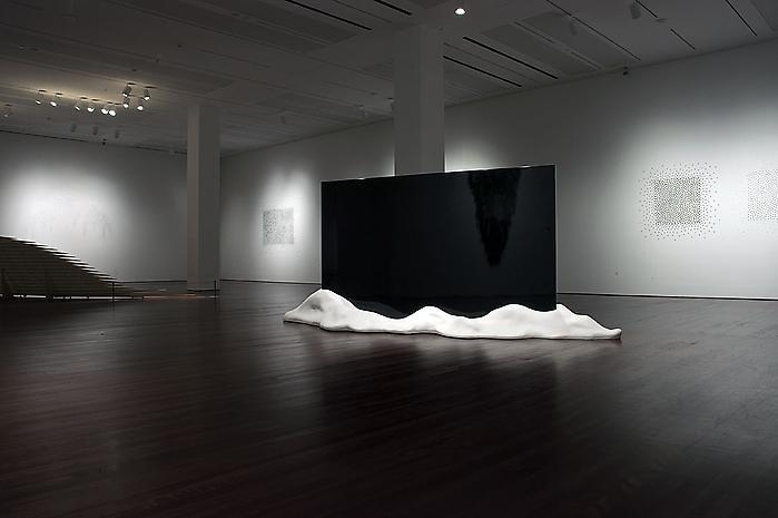 Teresita Fernández Installation at the Blanton Museum of Art, 2009