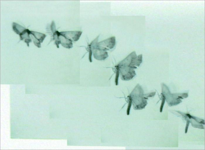 ATL Film Still 2, 2000-2004