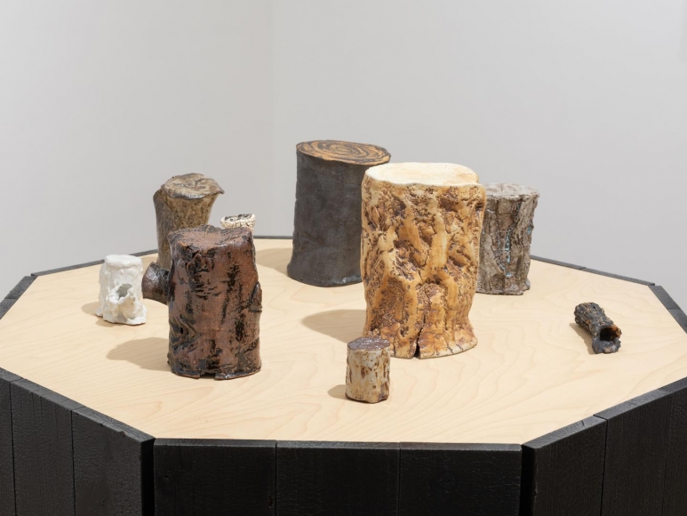 CATHERINE OPIE So long as they are wild
installation view 4