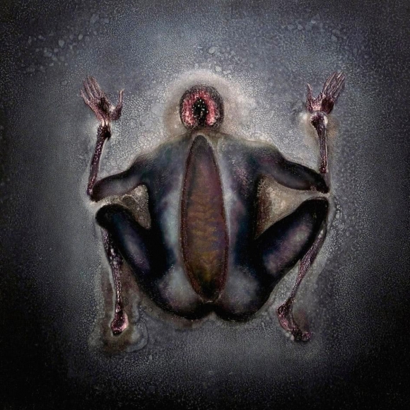 Untitled, 2006