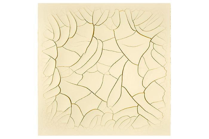ADRIANA VAREJÃO Monocromo cru # 3, 2010