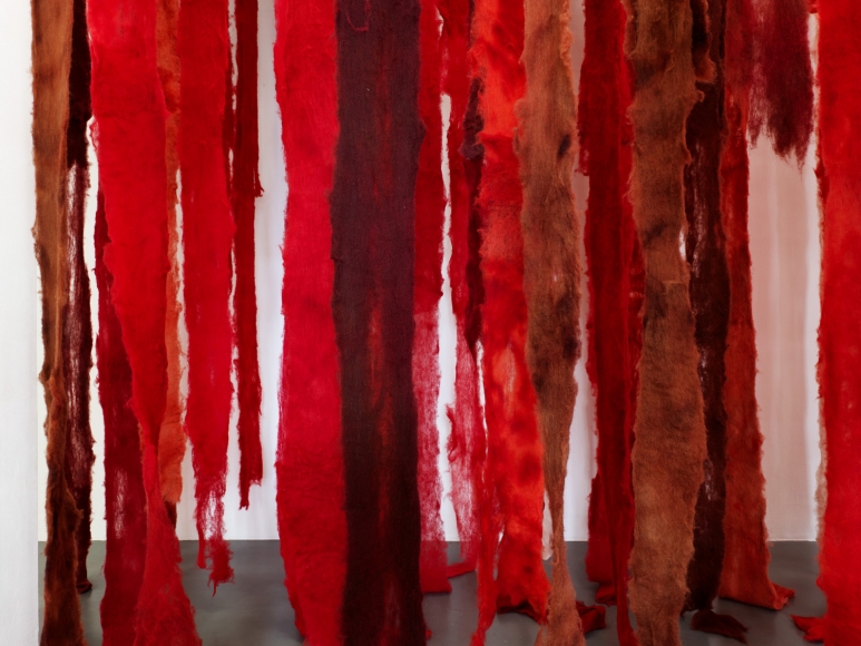 CECILIA VICUÑA, A retrospective exhibition