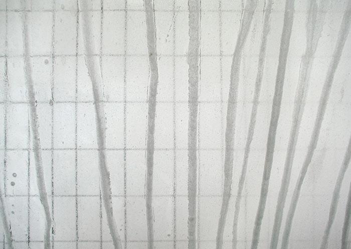 2439, 2001 2001