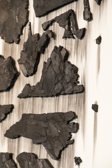 TERESITA FERNÁNDEZ, Fire (United States of the Americas) 2, 2018