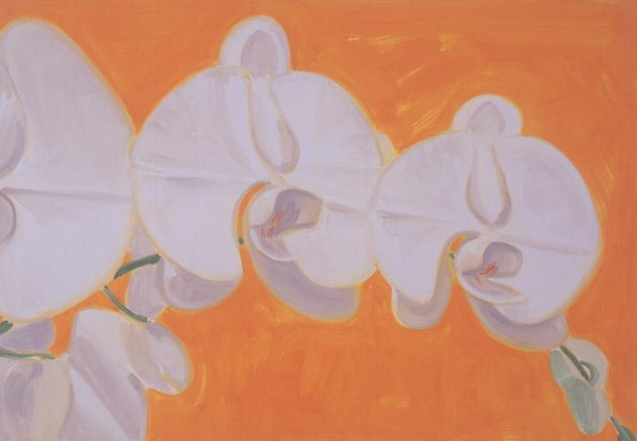 Orchid, 2002 oil on linen