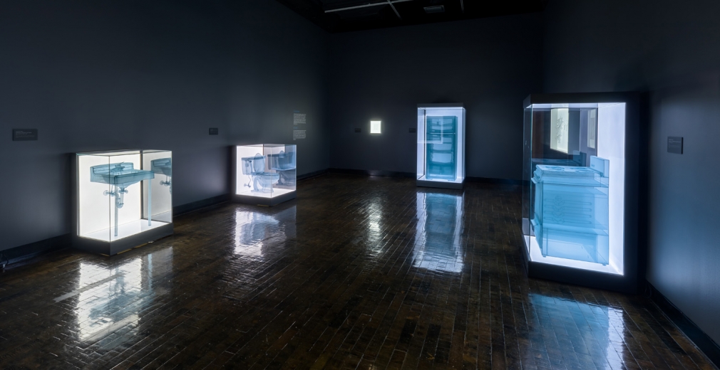 DO HO SUH, Installation view, Frist Art Museum, Do Ho Suh: Specimens, Oct. 12, 2018 - Jan. 6, 2019