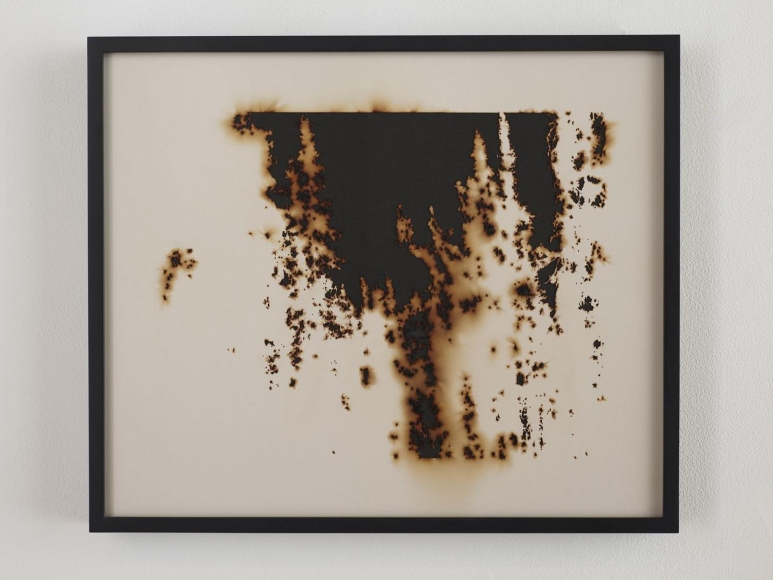 TERESITA FERNÁNDEZ Burned Landscape (America) 1 (detail), 2017