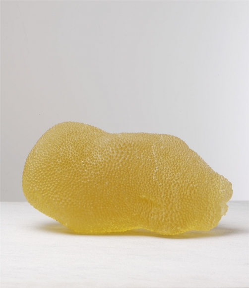 solid and miraculous in the face of adversity (citrine), 2005