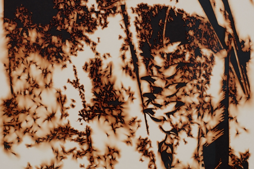 TERESITA FERNÁNDEZ, Puerto Rico (Burned) 3 (detail), 2018